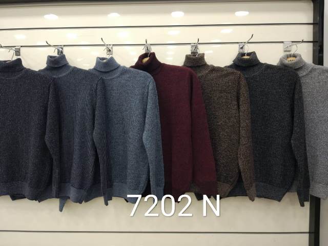 7202 N