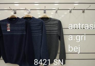 8421 S-N