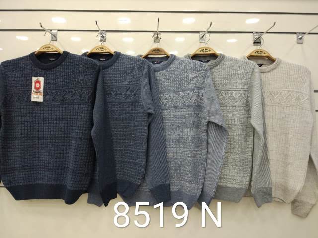 8519 N