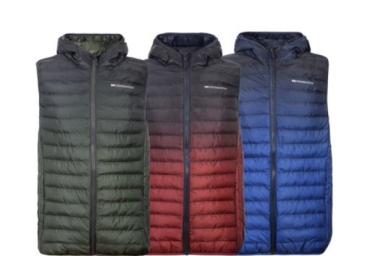 FADEGILLET CH 112506