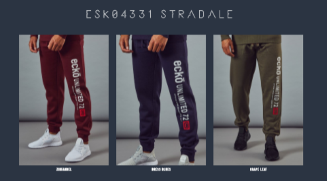 ESK 4331 STRADALE (2)