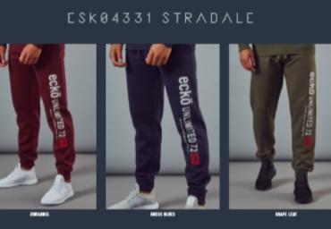 ESK 4331 STRADALE (2)