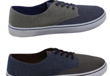 KS2483-BAXTER