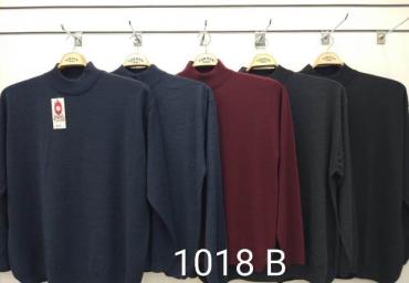 1018 B