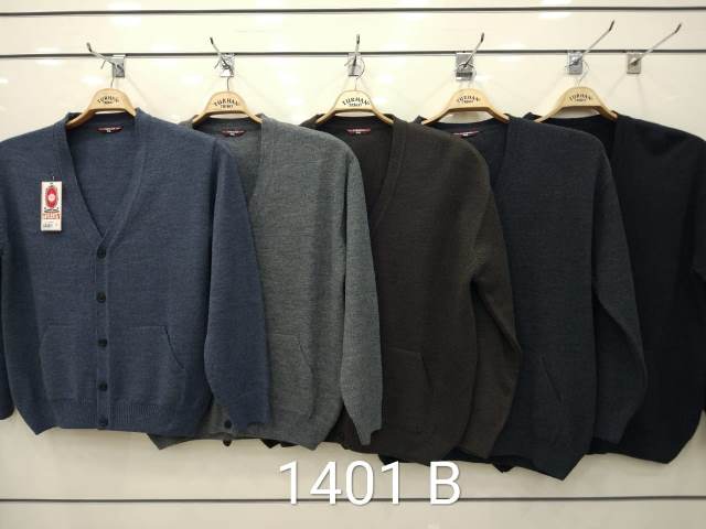 1401 B