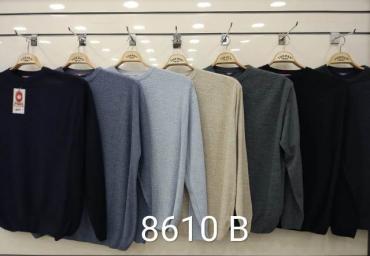 8610 B