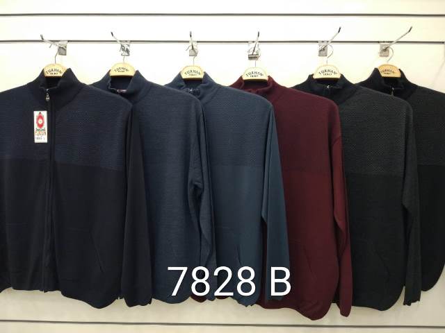 7828 B