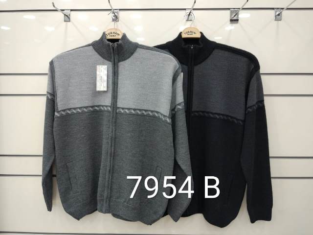 7954 B