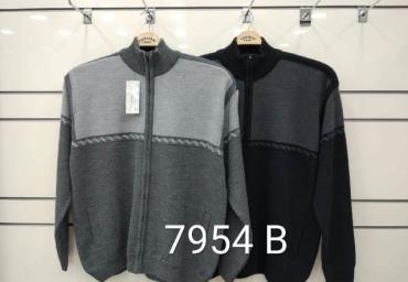 7954 B