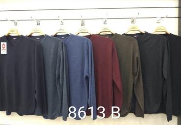 8613 B