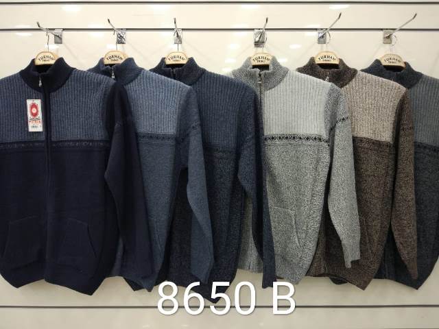 8650 B