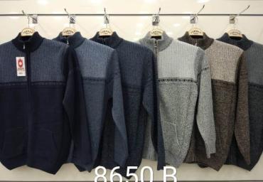 8650 B