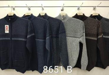 8651 B