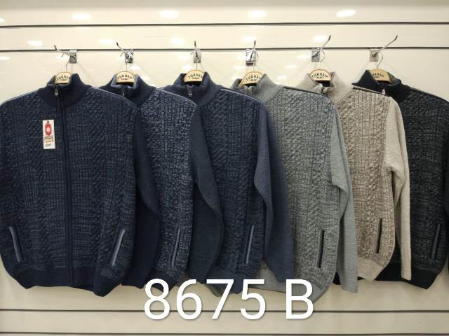8675 B