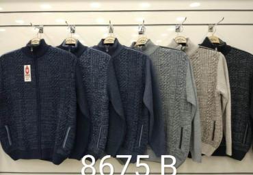 8675 B