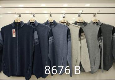 8676 B