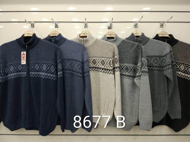 8677 B