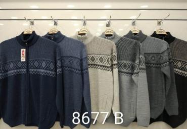 8677 B